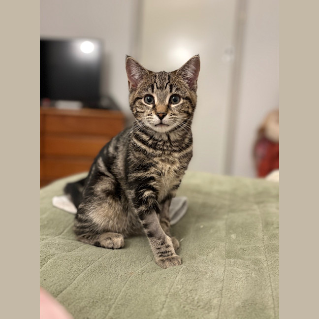 Photo of Hunter Mewell