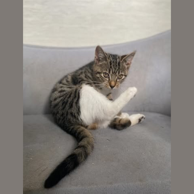 Photo of Adeline