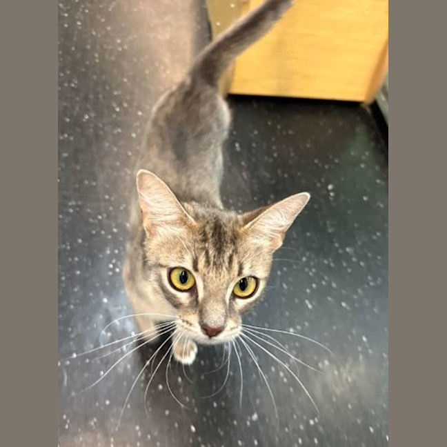 Photo of Bird The Word