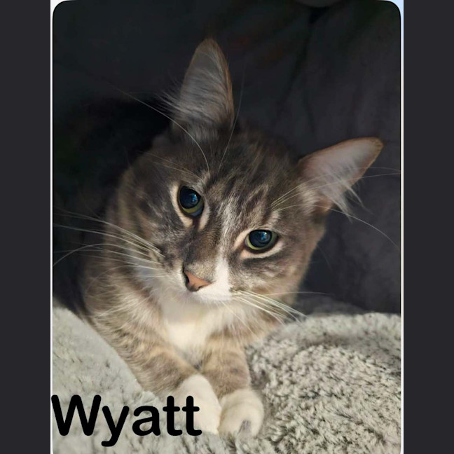 Photo of Ruth And Wyatt 