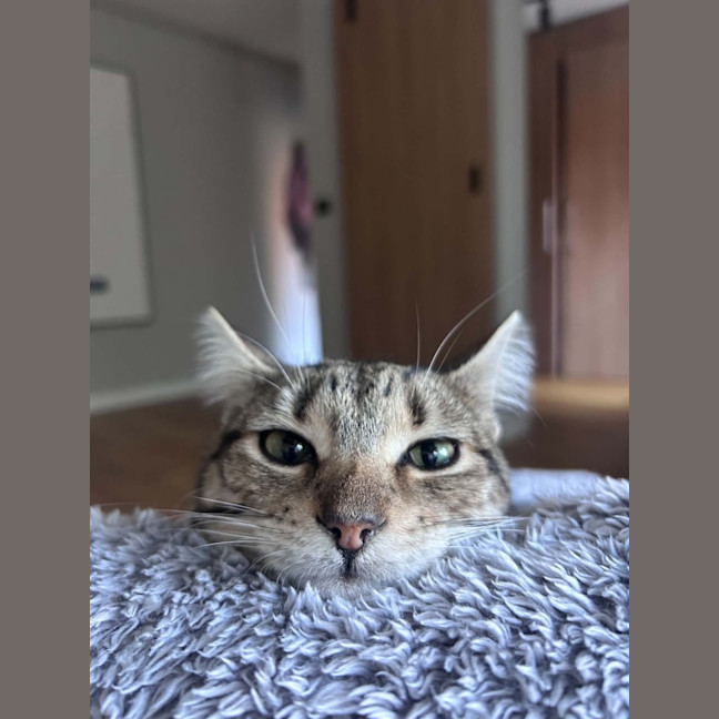 Photo of Winnie