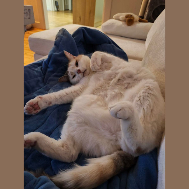 Photo of Millie