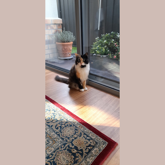 Photo of Elisabeth Sparkle