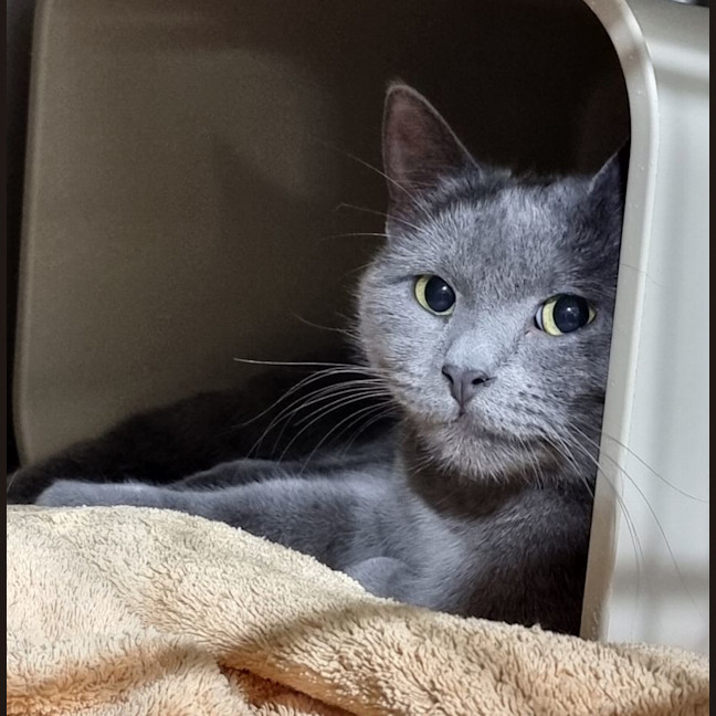 Photo of Penelope