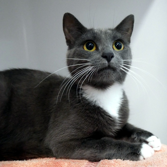 Photo of Zoe Sta014520