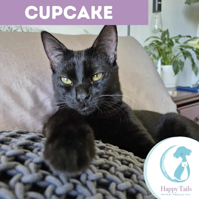 Photo of Cupcake