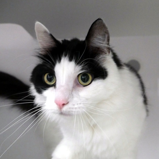 Photo of Raymond Rstk009878