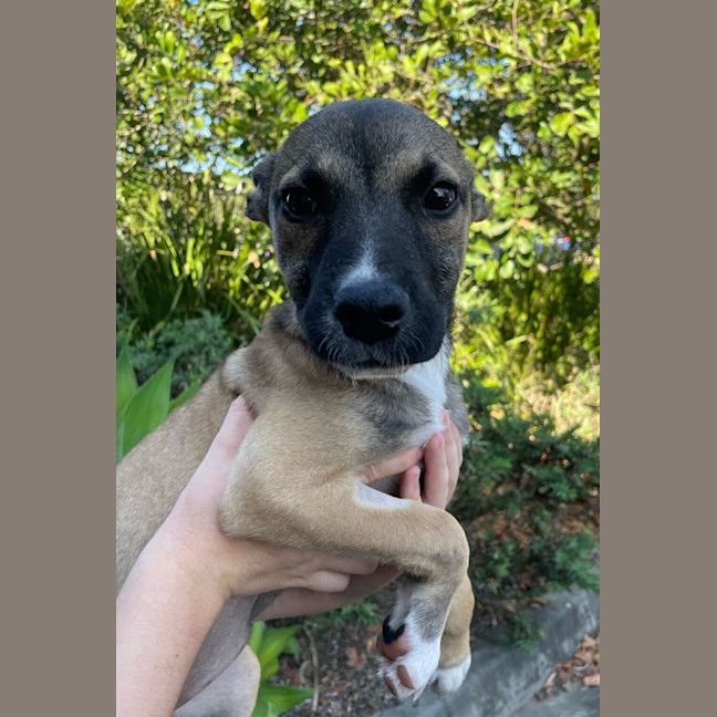 Photo of Freya