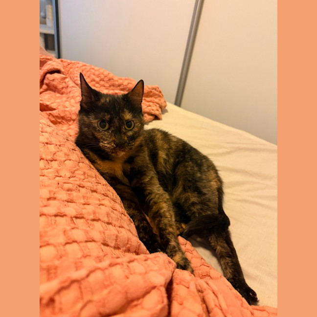 Photo of Tilly