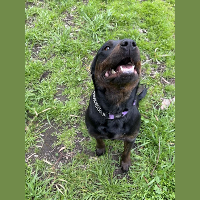 Photo of Lucy