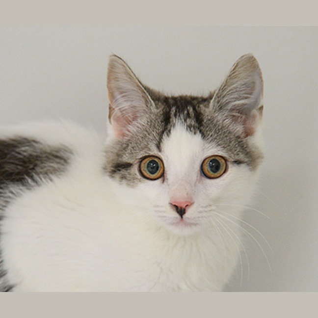 Photo of Delilah