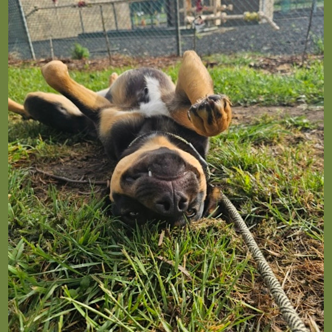 Photo of Missy