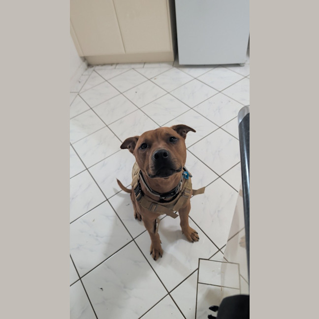 Photo of Cowboy