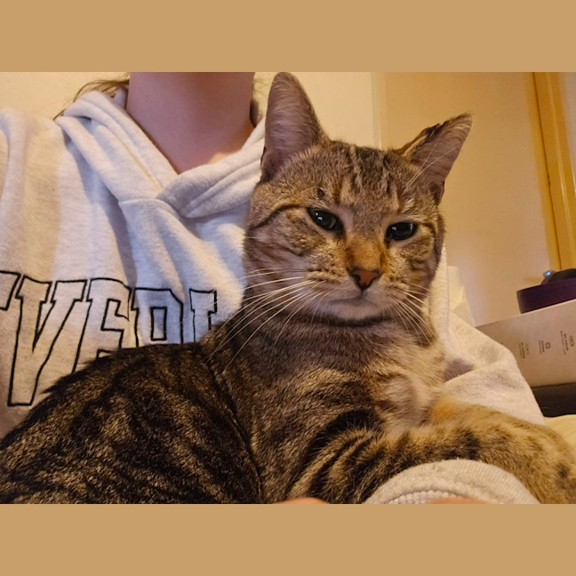 Photo of Stormy 🌩️