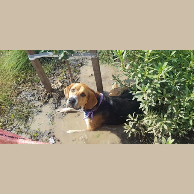 Photo of Lola Wilberforce