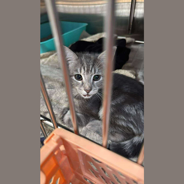 Photo of Max