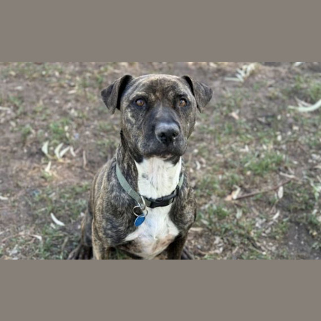 Photo of Jasper