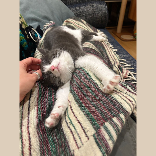 Photo of Penelope