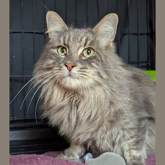 Photo of Elliott