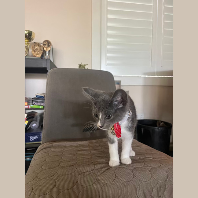 Photo of Riot