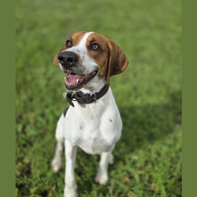 Photo of Wally