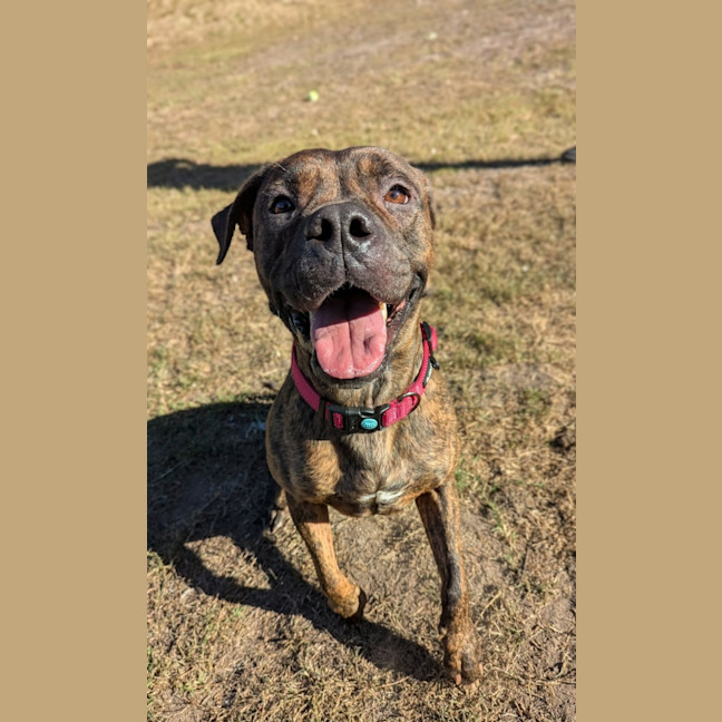 Photo of Winnie