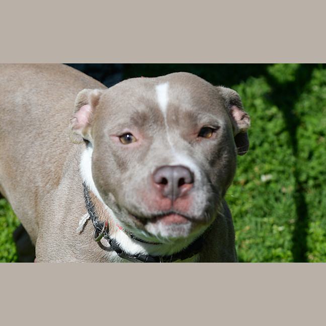 Photo of Wilma