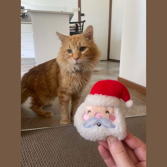 Photo of Mischief And Meggs