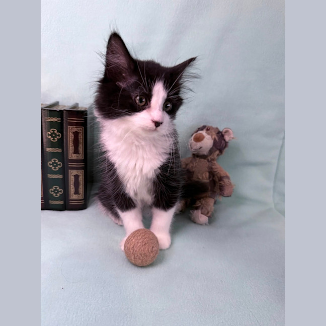 Photo of Gracie May 🌷