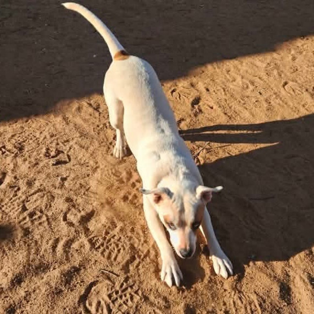 Photo of Missie
