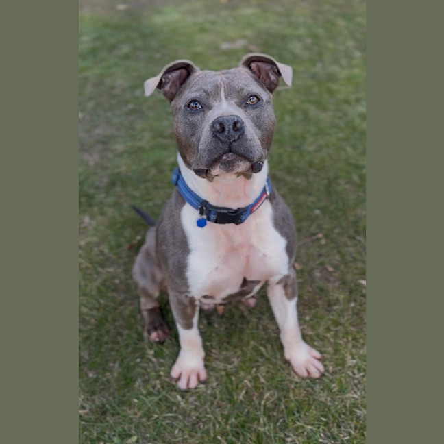 Photo of Spud