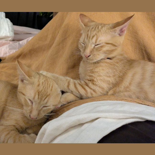 Photo of Fred & George (Aka Quentin & Quigley)