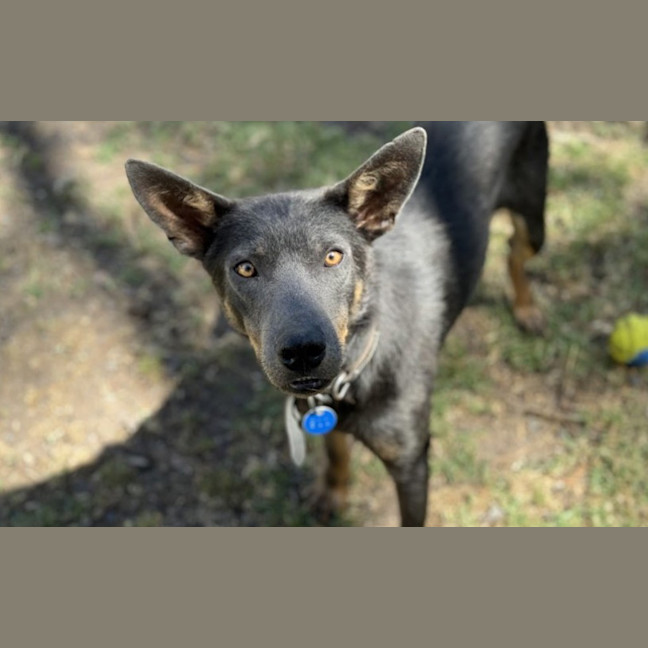 Photo of Bazza