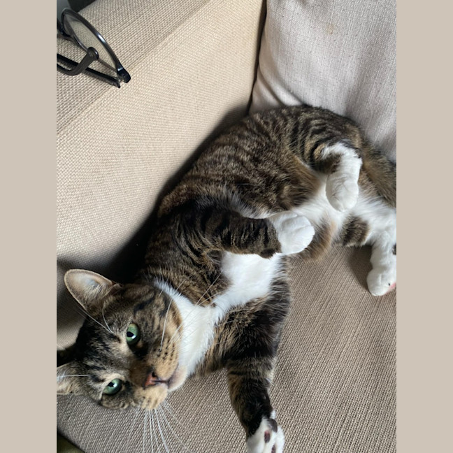 Photo of Chester   Located In Richmond