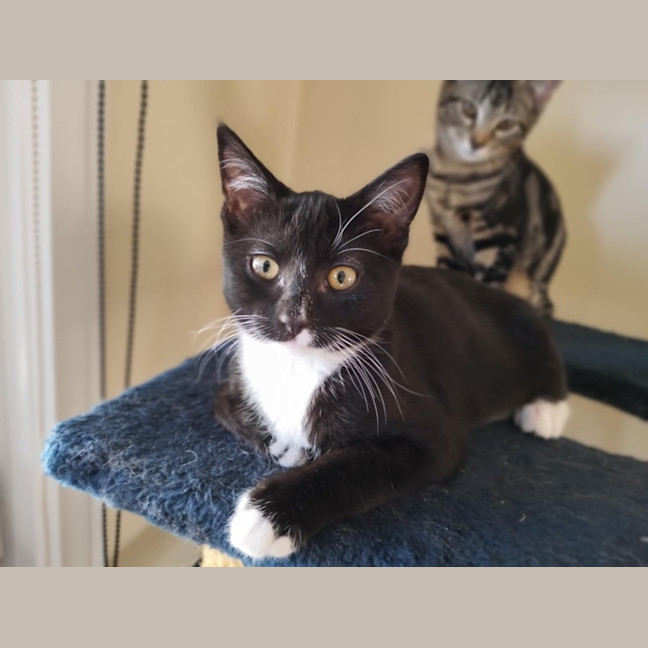 Photo of 🌸 Delta 🌸