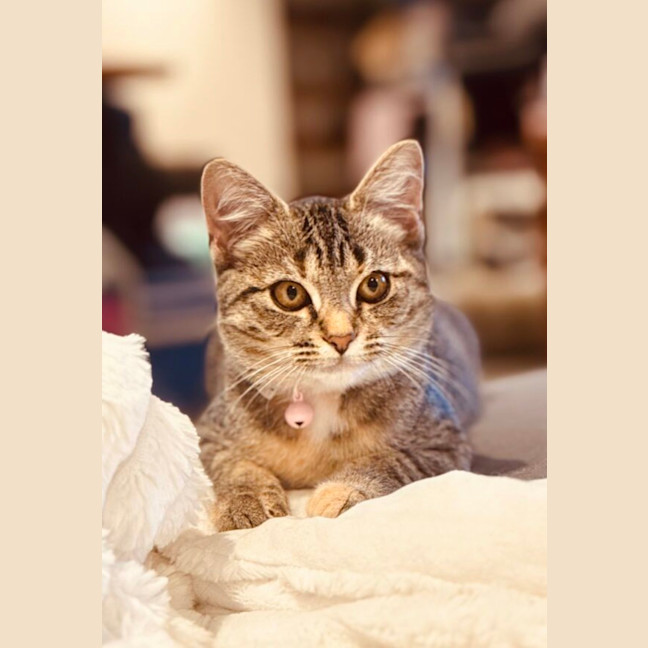 Photo of Lucky
