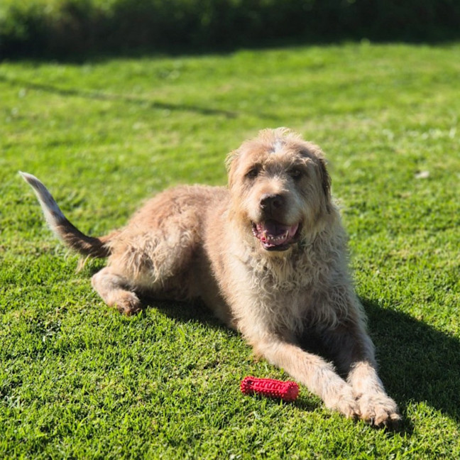 Photo of Billy