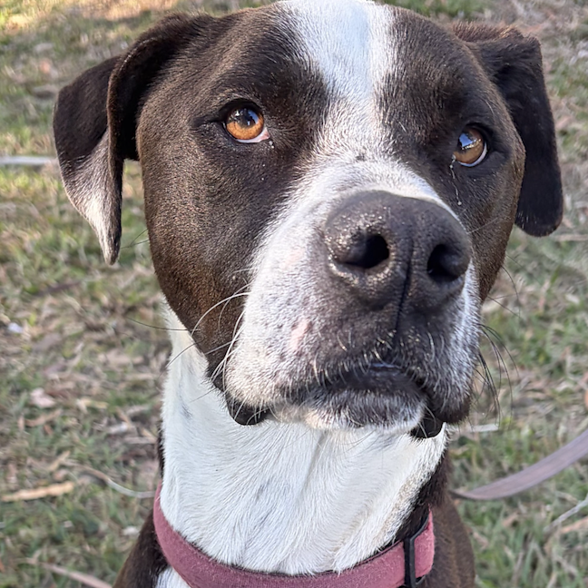 Photo of Arthur