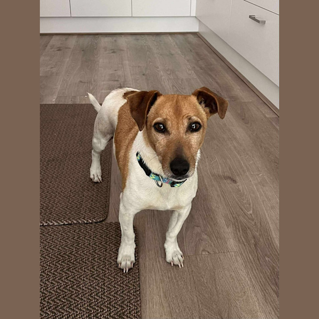 Photo of Ted