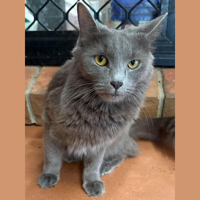 Photo of Luna