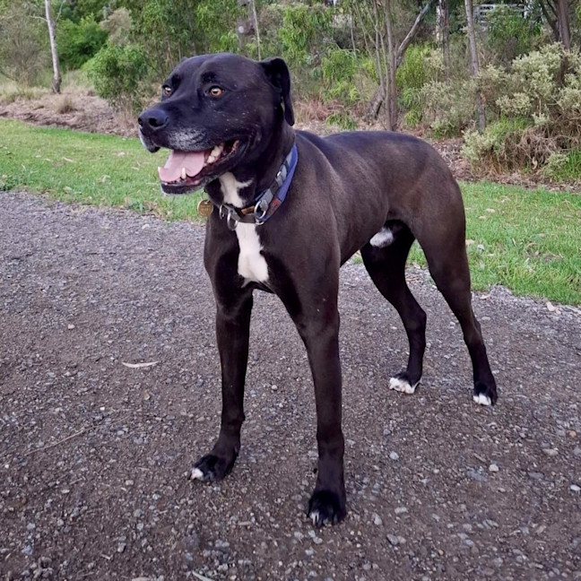 Photo of Captain Chai