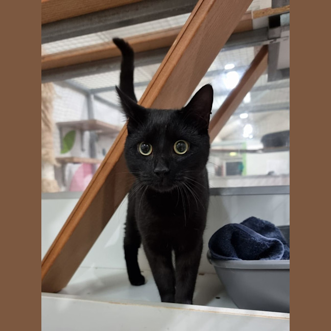 Photo of Vader