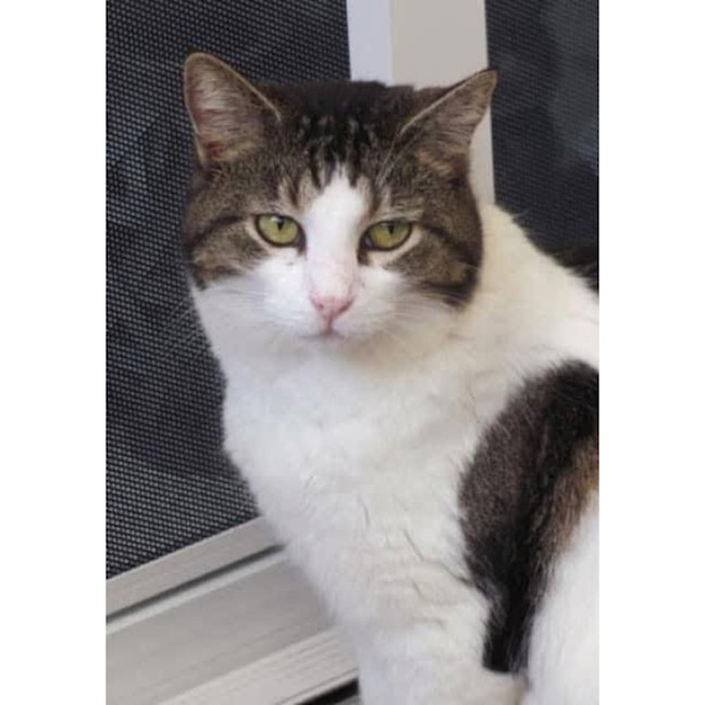 Photo of 11497   Danika