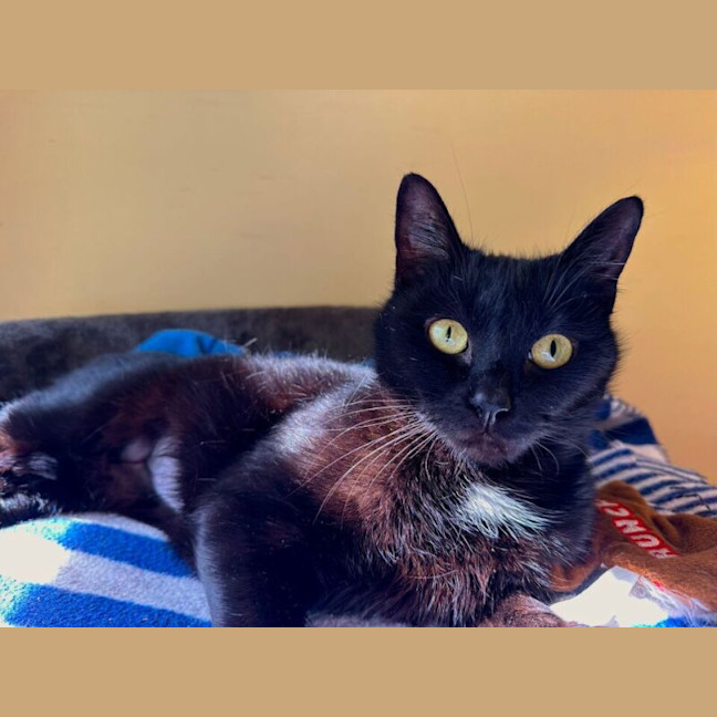 Photo of Echo