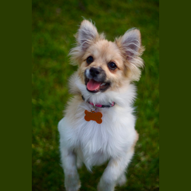 Photo of ☀️ Sonny ☀️