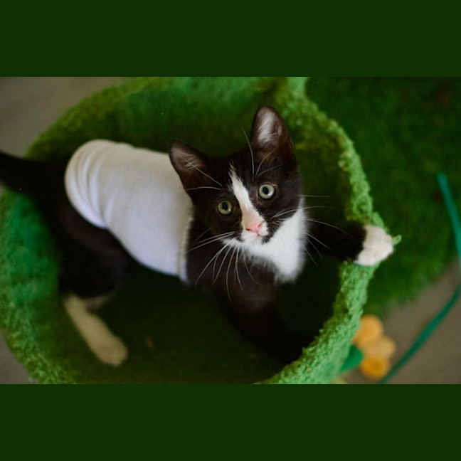 Photo of 🤩 Charlie Girl 🤩