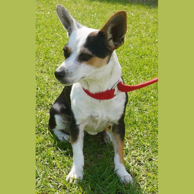 Photo of Wanda