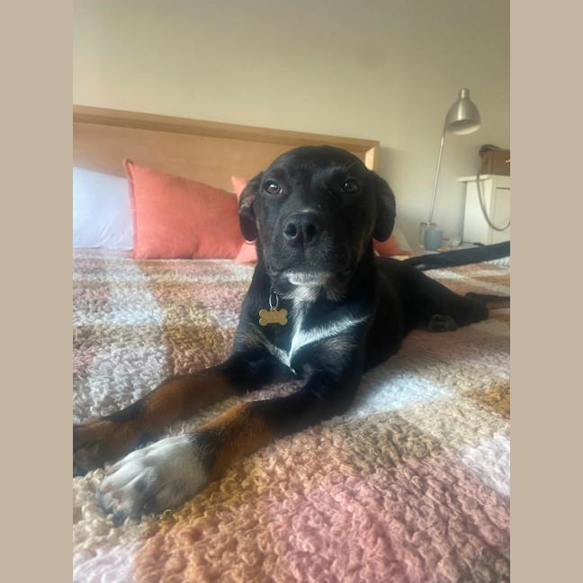 Photo of Ernie Shankman