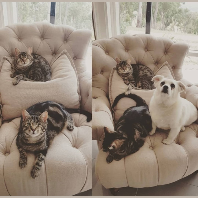 Photo of Seeker & Luna