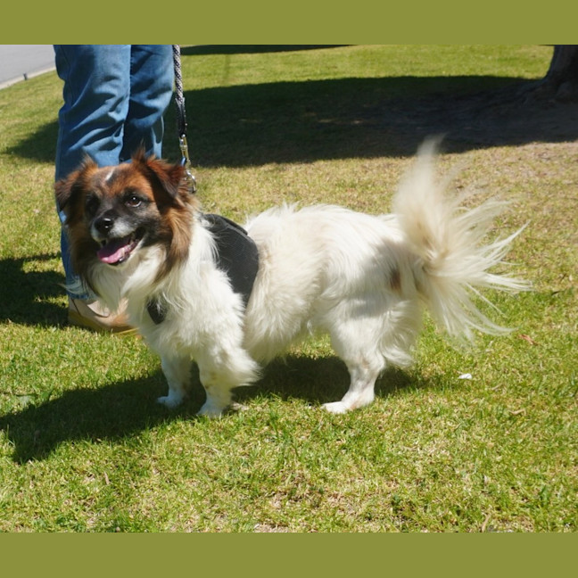 Photo of Bodie